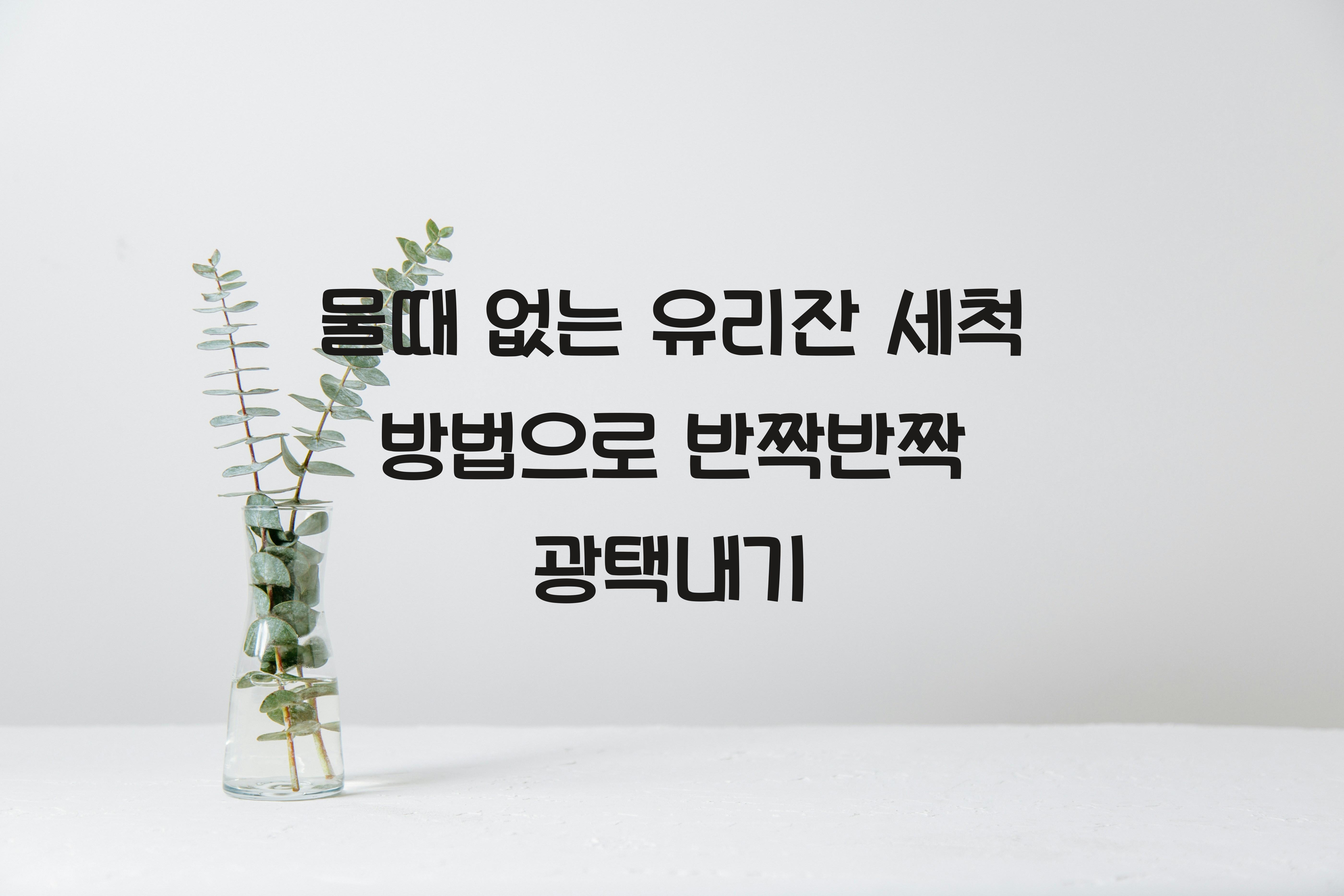 물때 없는 유리잔 세척 방법