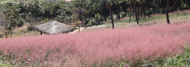 화성 우리꽃식물원