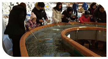 양주 눈꽃축제 체험