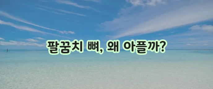 팔꿈치 뼈 통증 진단 및 치료 방법 확실하게 알아봅시다!
