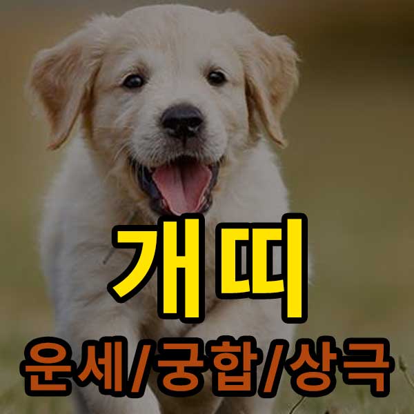 개띠 운세/궁합/상극-썸네일