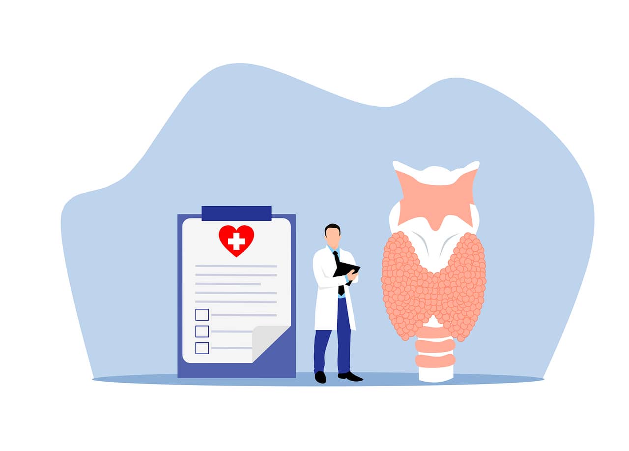 갑상선 기능 저하와 항진: 원인, 증상, 그리고 관리법