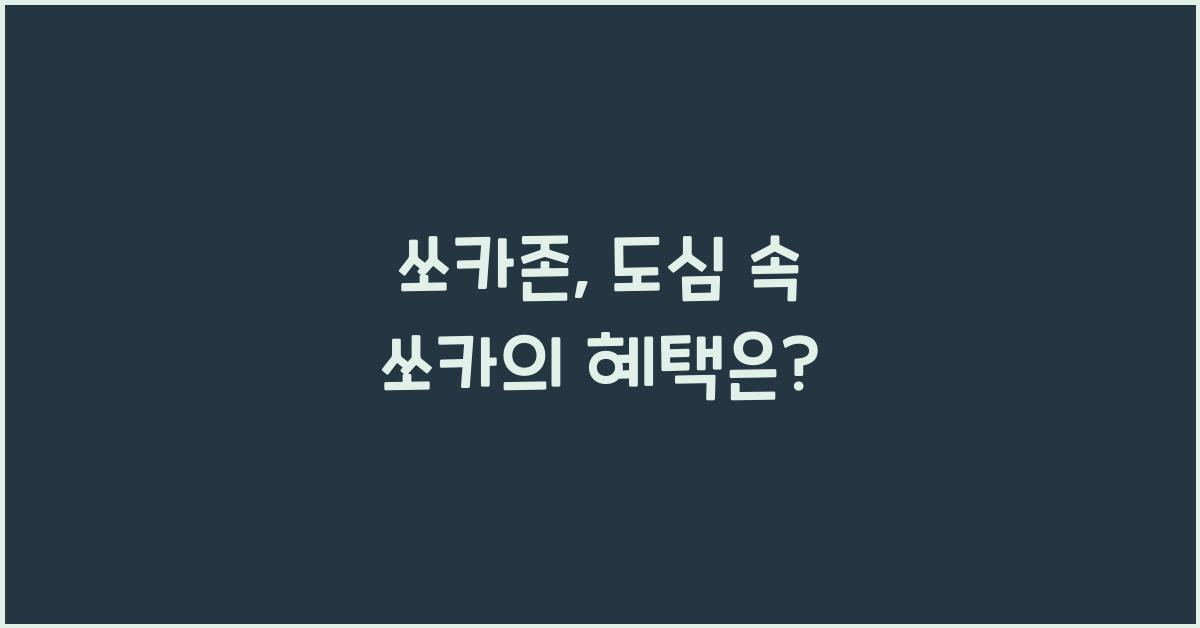 쏘카존