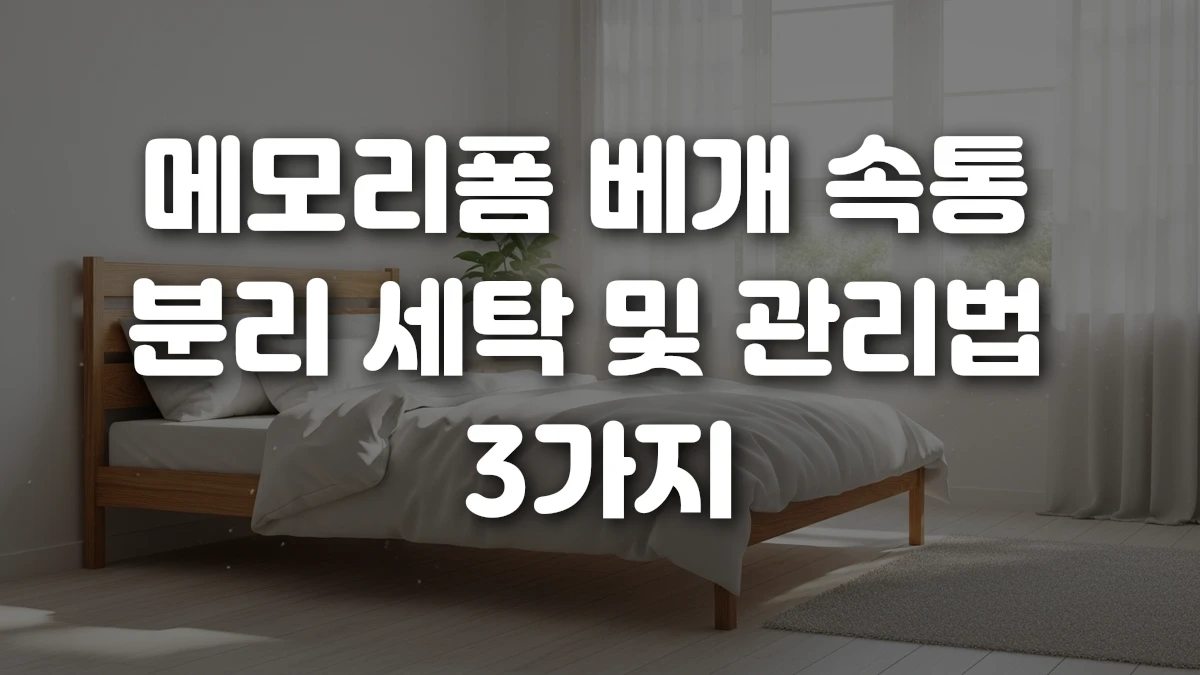 메모리폼 베개 속통 분리 세탁 및 관리법 3가지