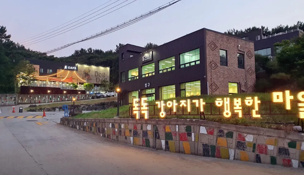 인천공항애견호텔링 위탁서비스