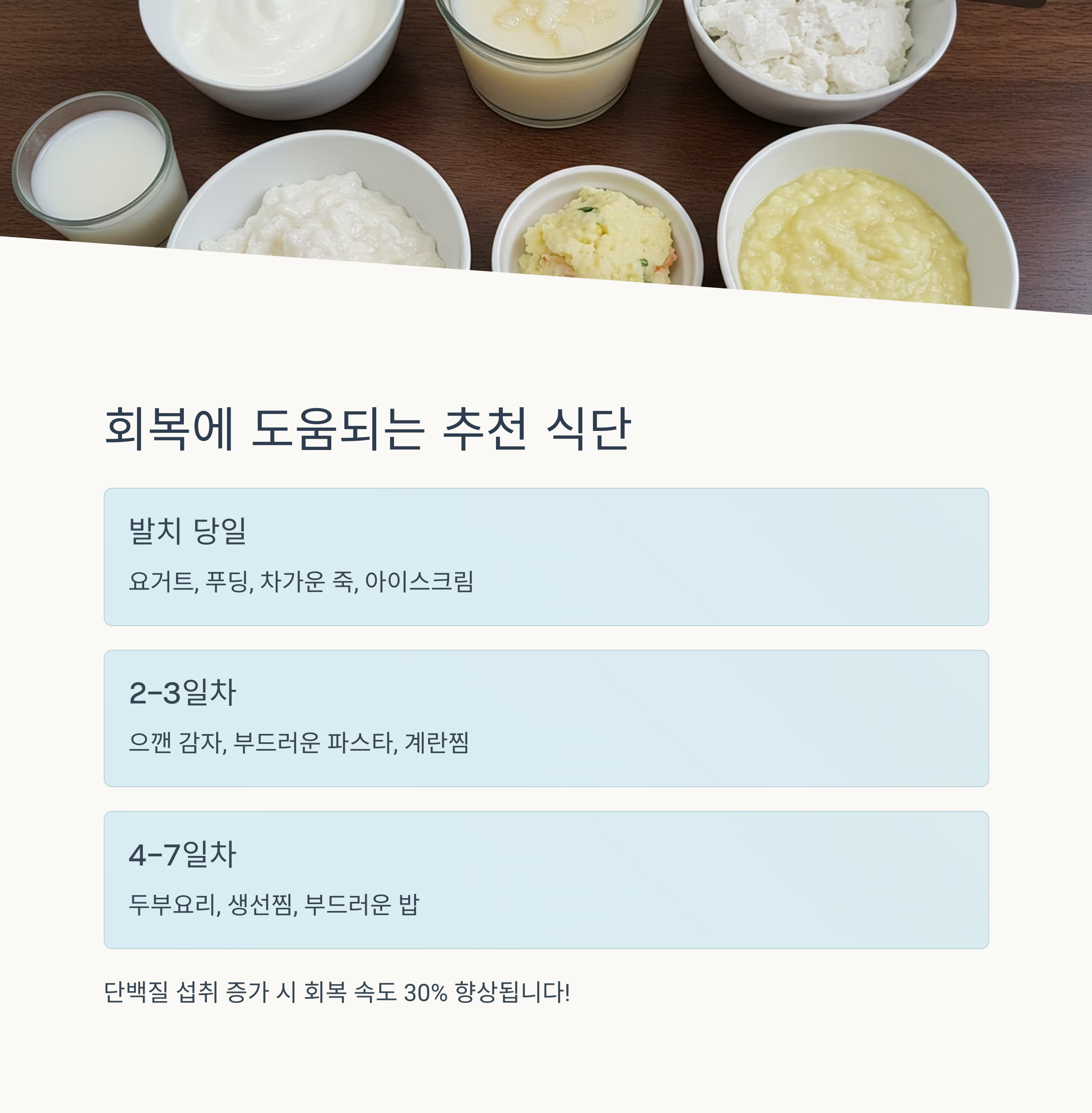 추천 식사 메뉴