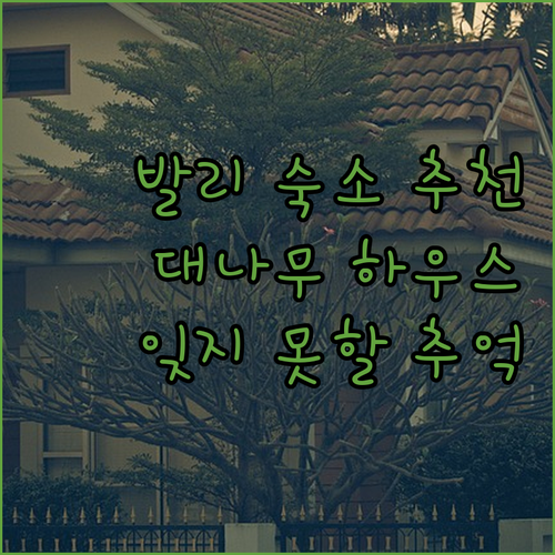 발리 숙소 추천 발리 하이드아웃 에코