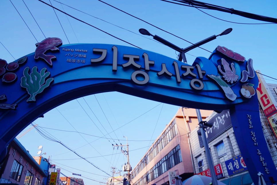 타바라-버스-운행-기장시장-이미지