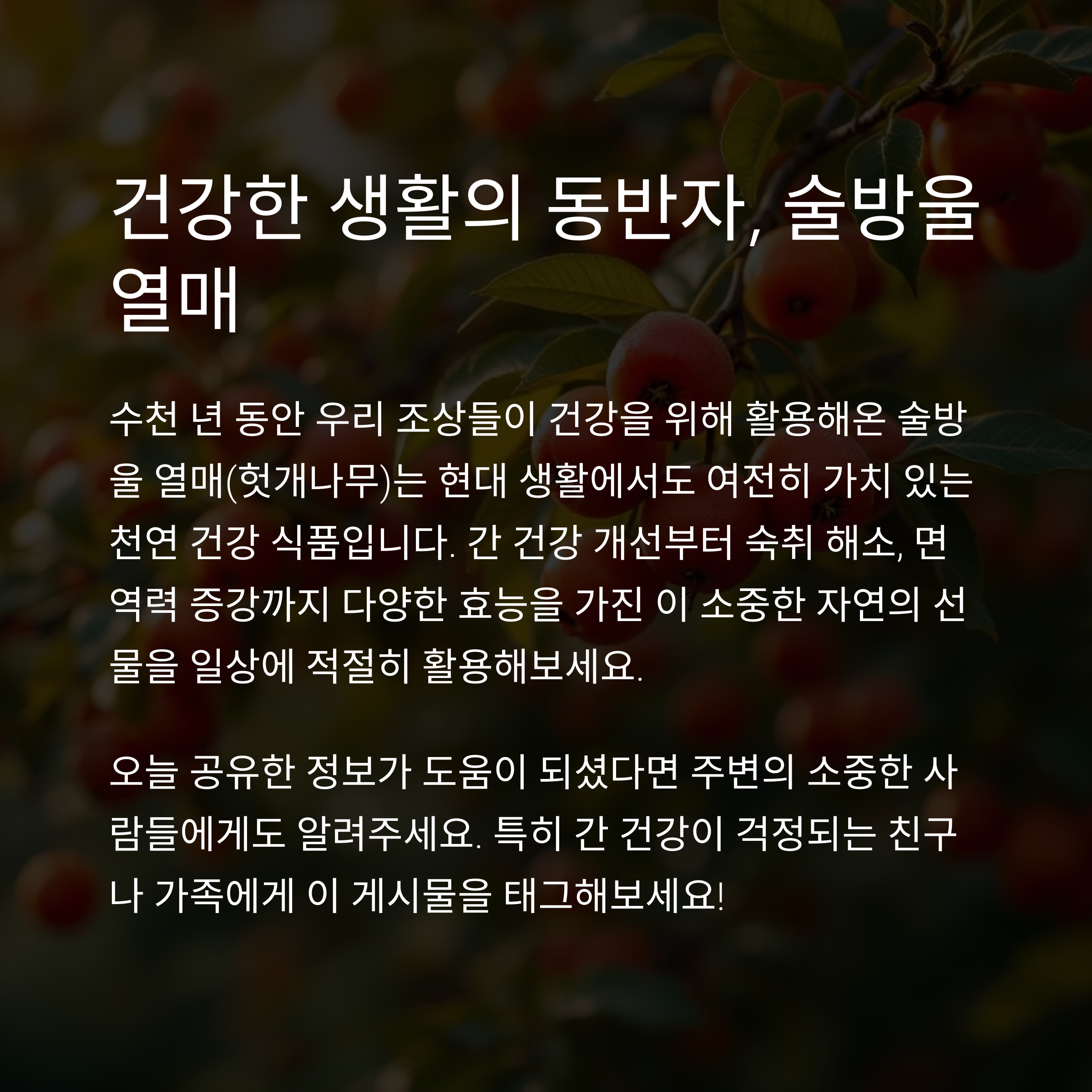 술방울 열매 효능