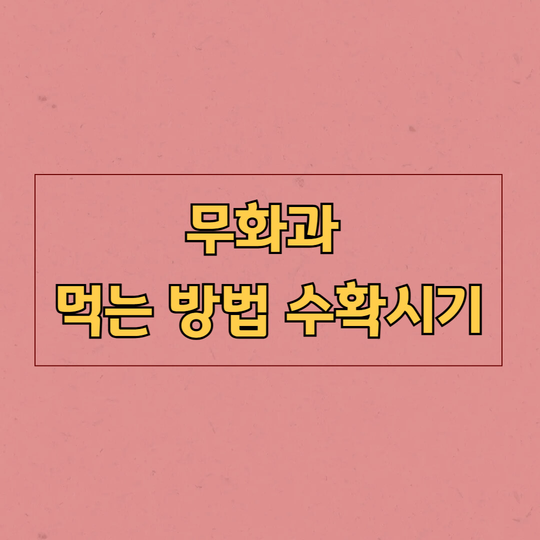 무화과 먹는 방법 수확시기