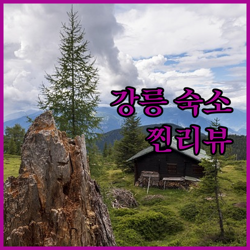 강릉 여행 숙소 고민 끝 강릉씨티호텔