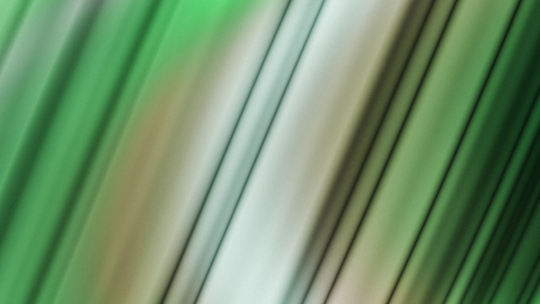 입장료 → admission fee