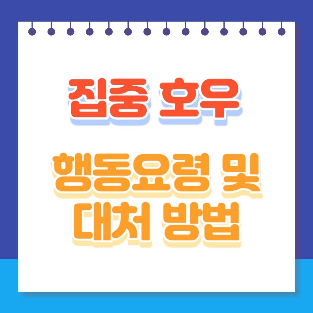 집중호우