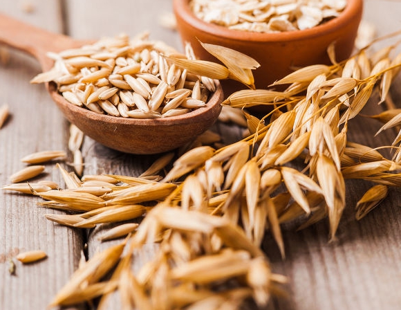 중성지방 낮추는 음식