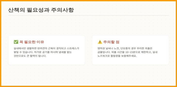 강아지 산책
