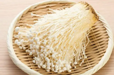 팽이버섯