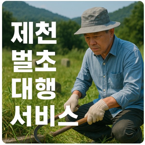 충북 제천 벌초 대행