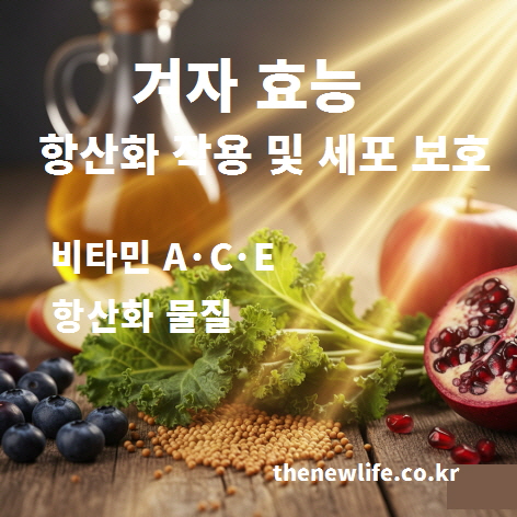 겨자 효능 중 항산화 작용을 설명하는 이미지로 겨자씨와 항산화 식품이 함께 있는 모습
