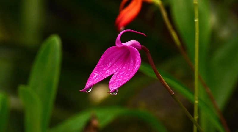 상가 자동문 종류 이해하기