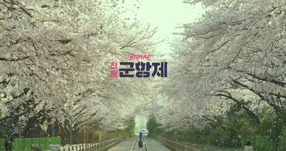 2024 벚꽃개화시기