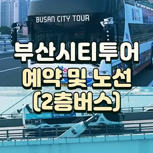 부산-시티투어버스-노선-예약-요금정보-야경투어