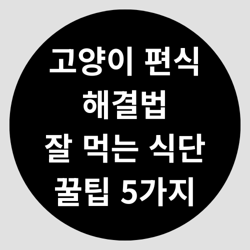고양이 편식 해결법 &ndash; 잘 먹는 식단 꿀팁 5가지