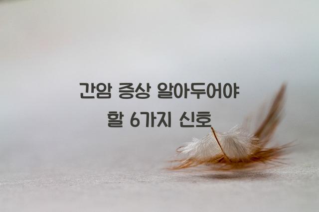 간암 증상