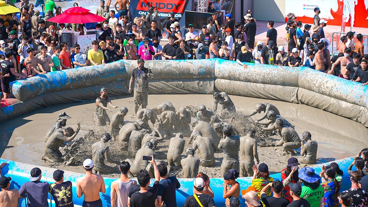 보령머드축제 사진