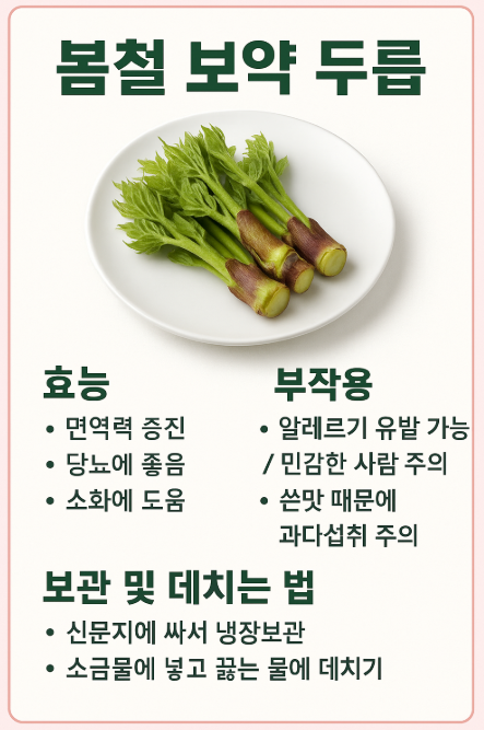 봄철 보약 드룹 (효능, 부작용, 보관 및 데치는법) 사진