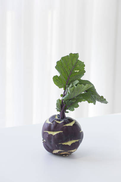콜라비 칼로리