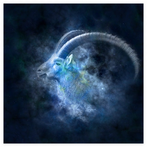 산수도인 별자리 11월 월간 오늘의 운세