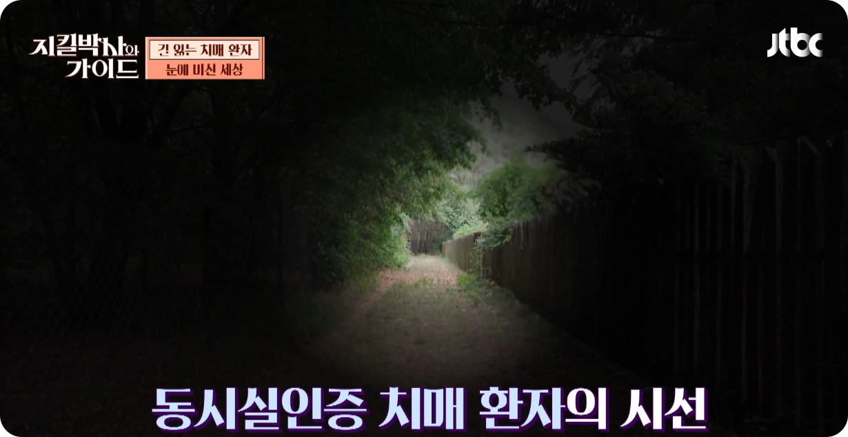 리포좀글루타치온, 항산화와 피부미백 치매