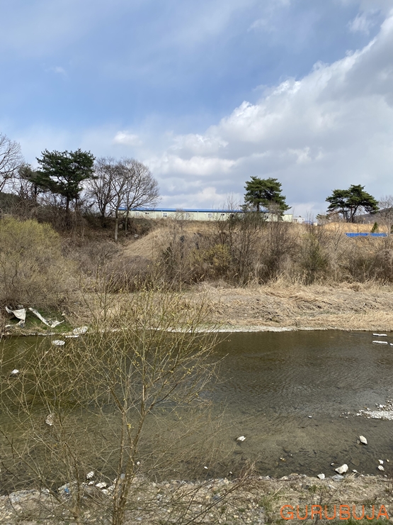 속리산 카페, 괴산 숲 camp&cafe