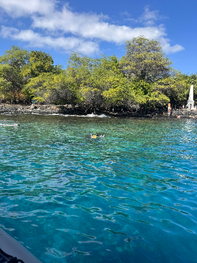 빅아일랜드 캡틴쿡 바다