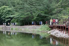 계룡산 단풍명소