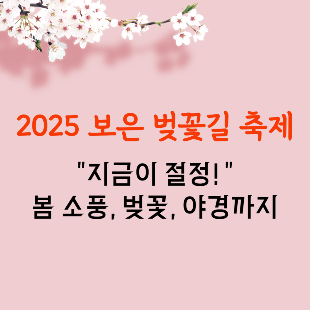 2025 보은 벚꽃길 축제 개화 절정! 야간조명부터 체험까지 총정리