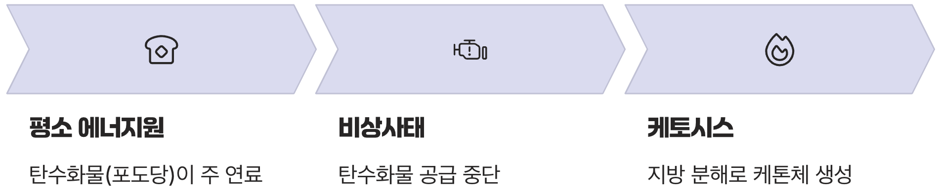 '케톤체'는 우리 몸의 '비상 연료'