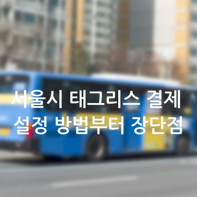 서울시 버스 태그리스 결제 도입! 설정 방법부터 장단점