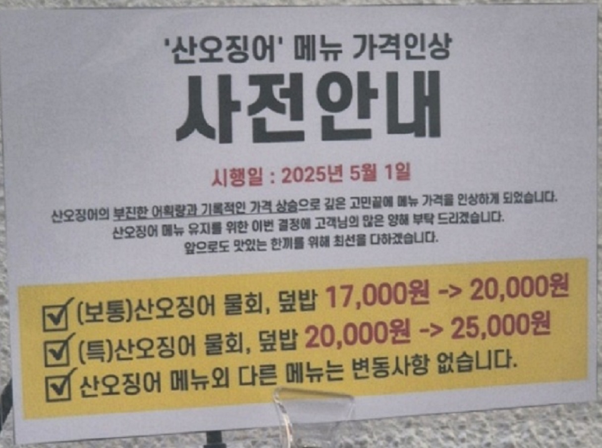 속초-산오징어물회-완도회식당