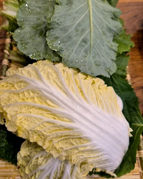 가격파괴 Why 돼지 5종 소갈비찜 무제한 셀프바 포함 1인 13900원