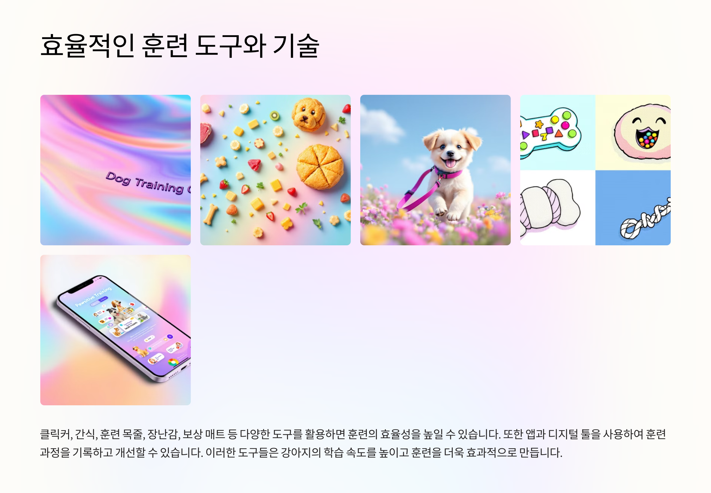 효율적인 훈련 도구와 기술