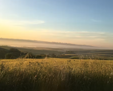 귀농에 대하여 알아보기