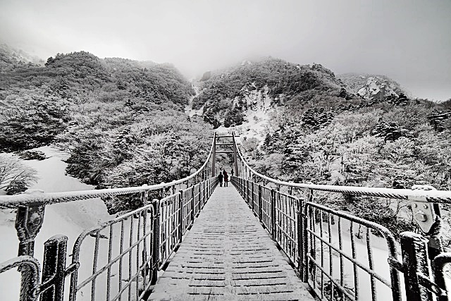 한라산 탐방 예약 방법