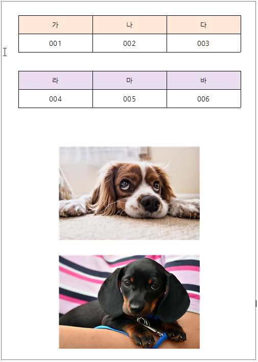한글 캡션 설정 표번호 그림번호