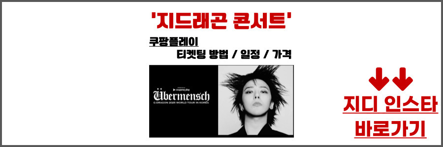 지드래곤 콘서트