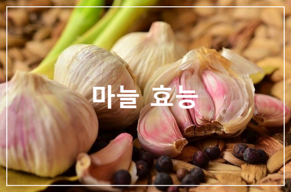 마늘