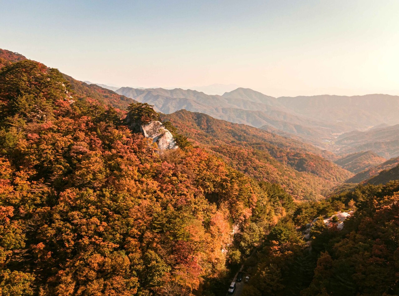 용화산 단풍 관련 사진첨부