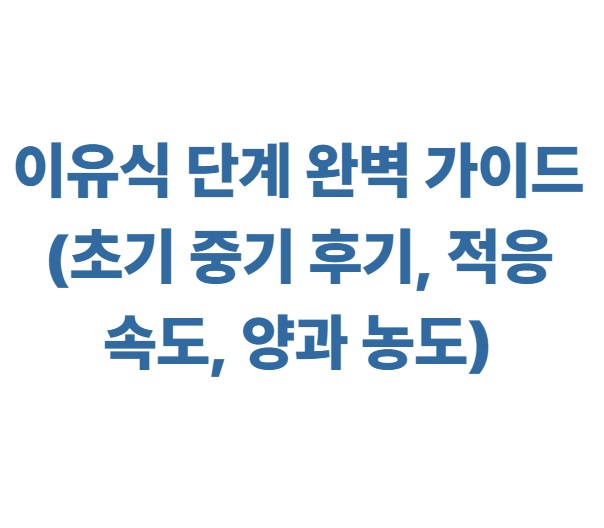 이유식 단계 완벽 가이드