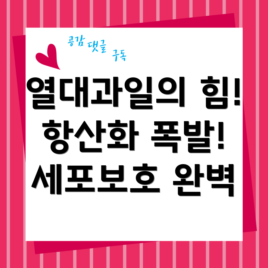 항산화제