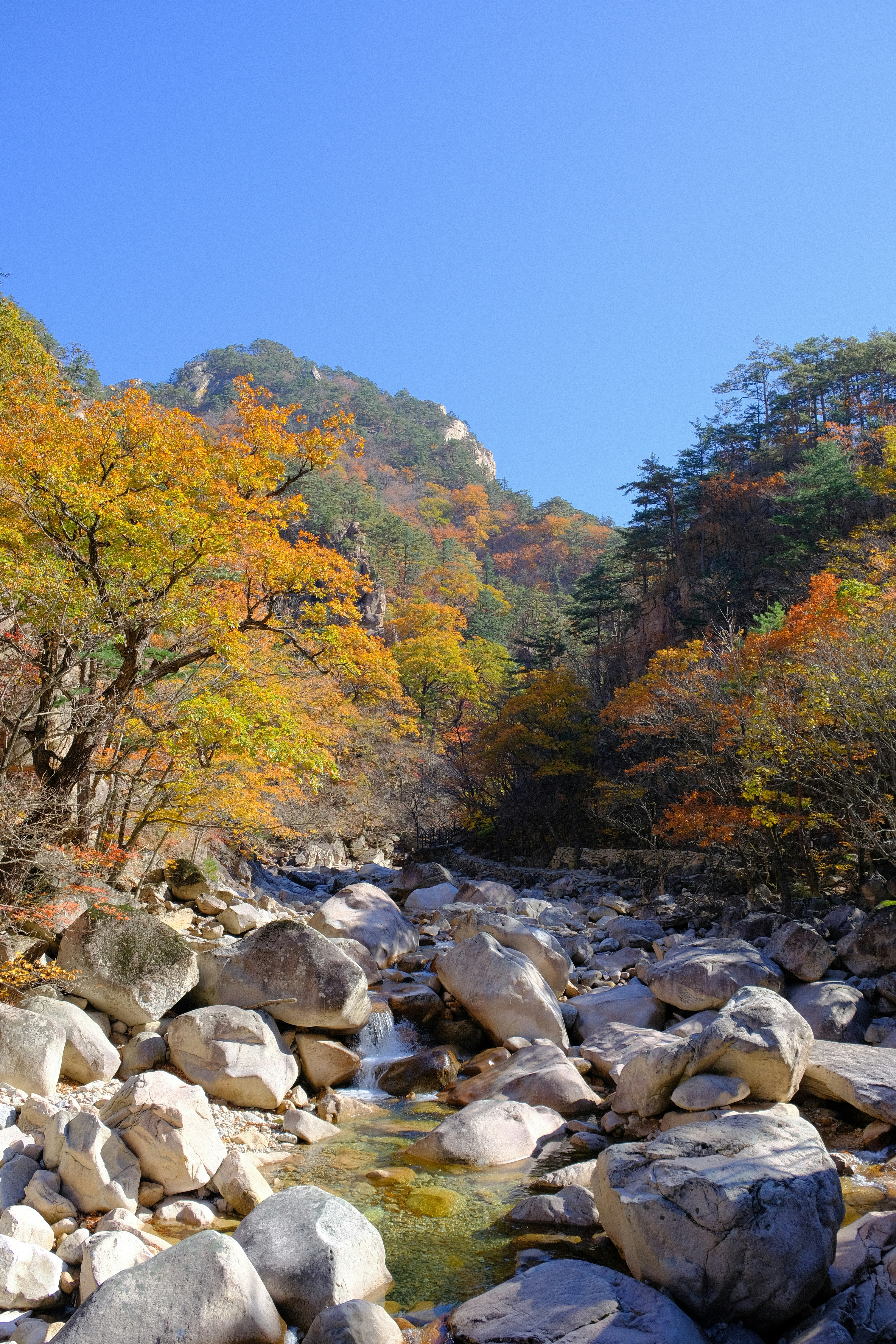 2025 -양산 -내원사- 단풍 -명소 -완벽 -가이드- 절정시기-&middot;무료입장&middot;계곡산책-4